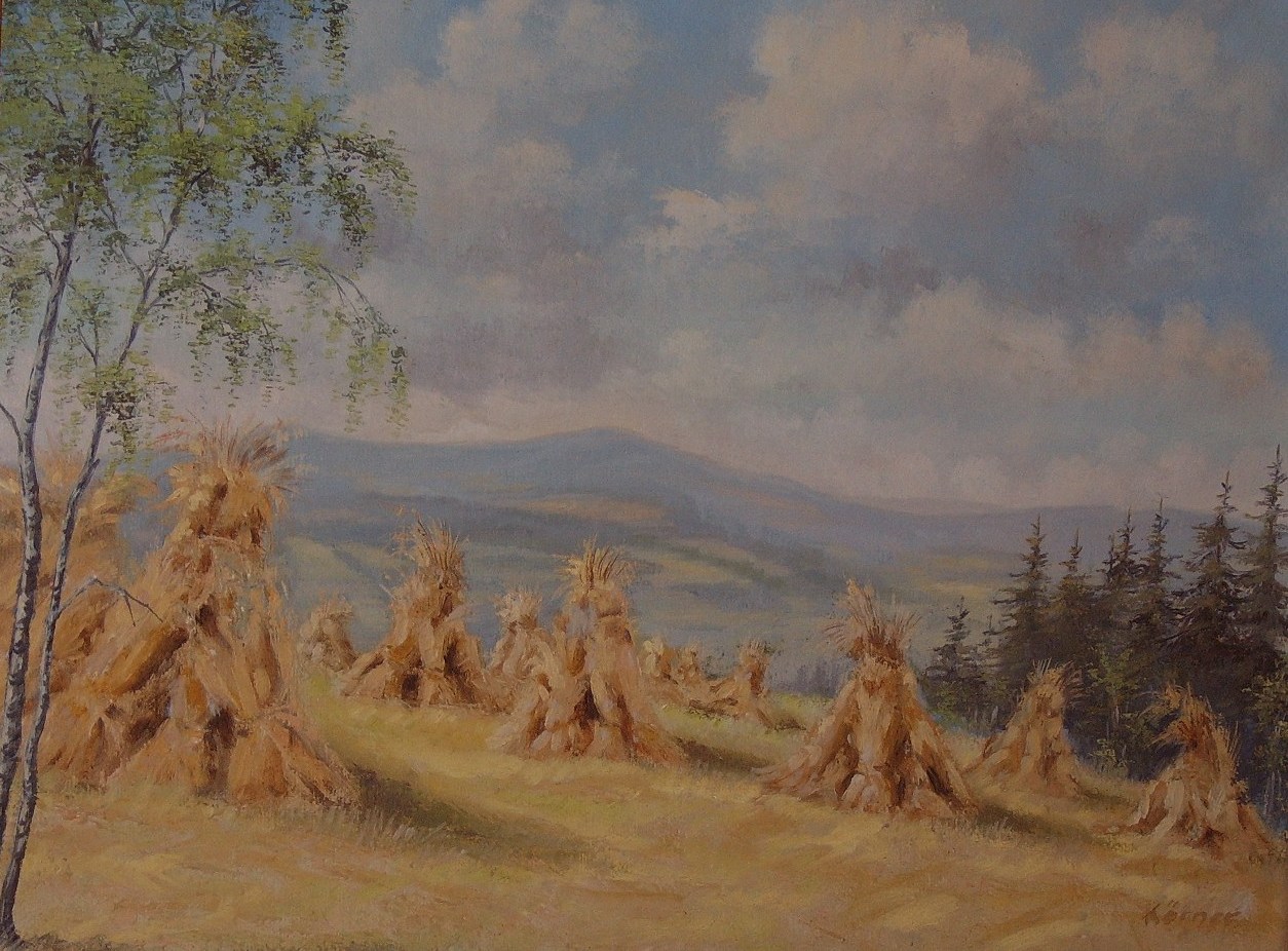 Erntefeld im Erzgebirge